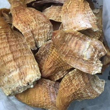 （量大可谈）深山笋干干货嫩度足口感好玉兰片