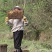 野生土蜂蜜