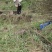 野生土蜂蜜