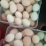 想吃纯正的土鸡蛋来，纯粮食喂养