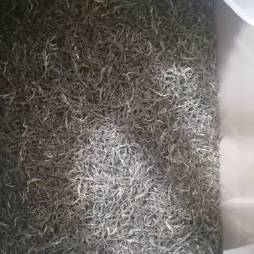 蟒蛇箐生态茶