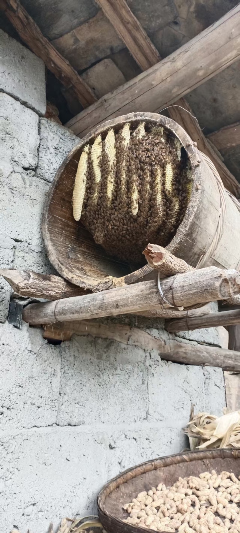十堰市郧西县景阳山里土蜂蜜