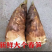 2026春笋新鲜现挖湖南野生竹笋黄泥大春笋楠竹嫩笋子
