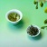 高山云雾有机茶