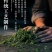 贵州云雾绿茶2026新茶叶特级高山日照浓香型散装茶叶袋装