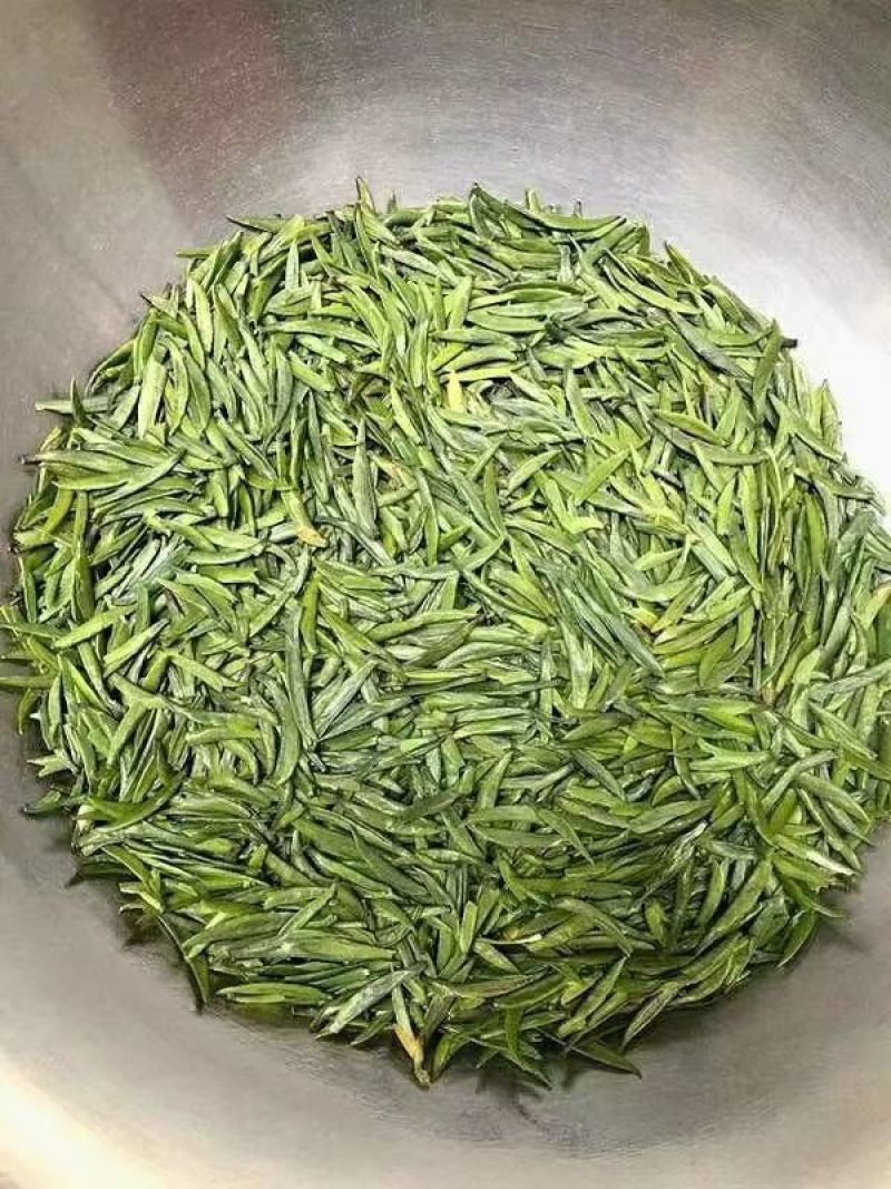 精品翠芽