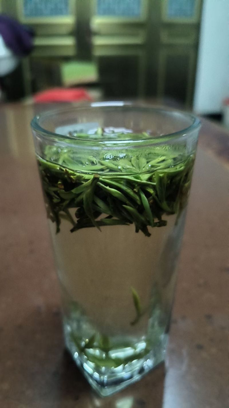 霍山黄芽