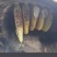 自己大山里面养的纯野生蜂蜜