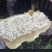 自己大山里面养的纯野生蜂蜜