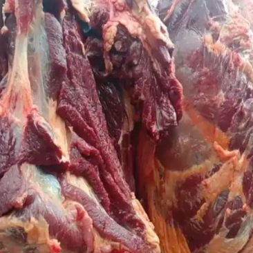 肃南县精分割牦牛肉