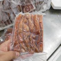 细管厚皮海肠