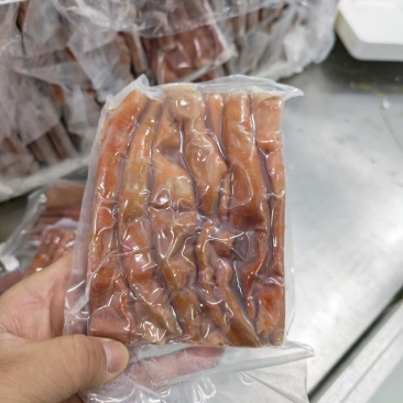 细管厚皮海肠