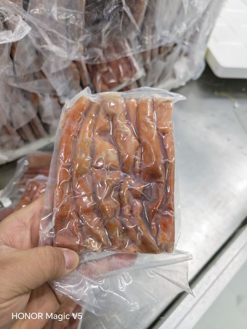 细管厚皮海肠