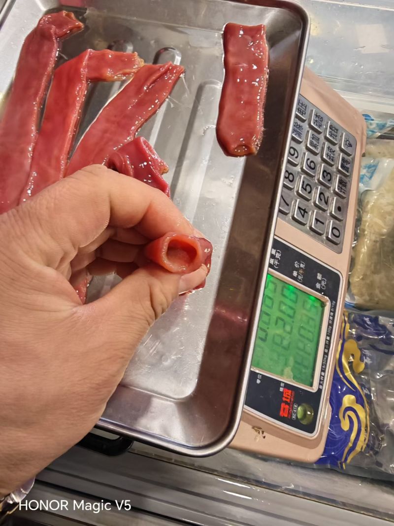 细管厚皮海肠
