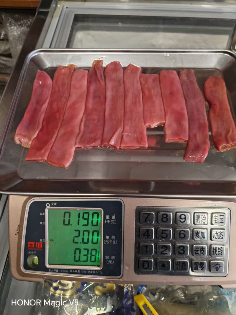 细管厚皮海肠