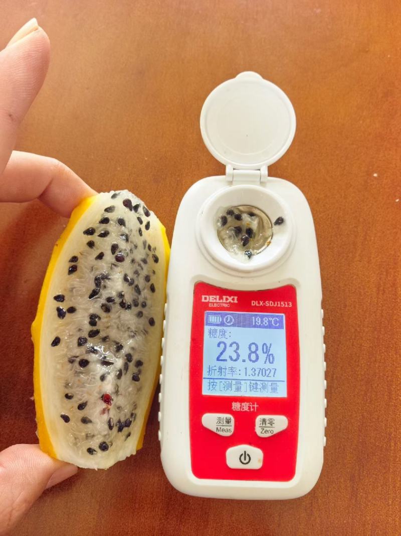 燕窝麒麟果