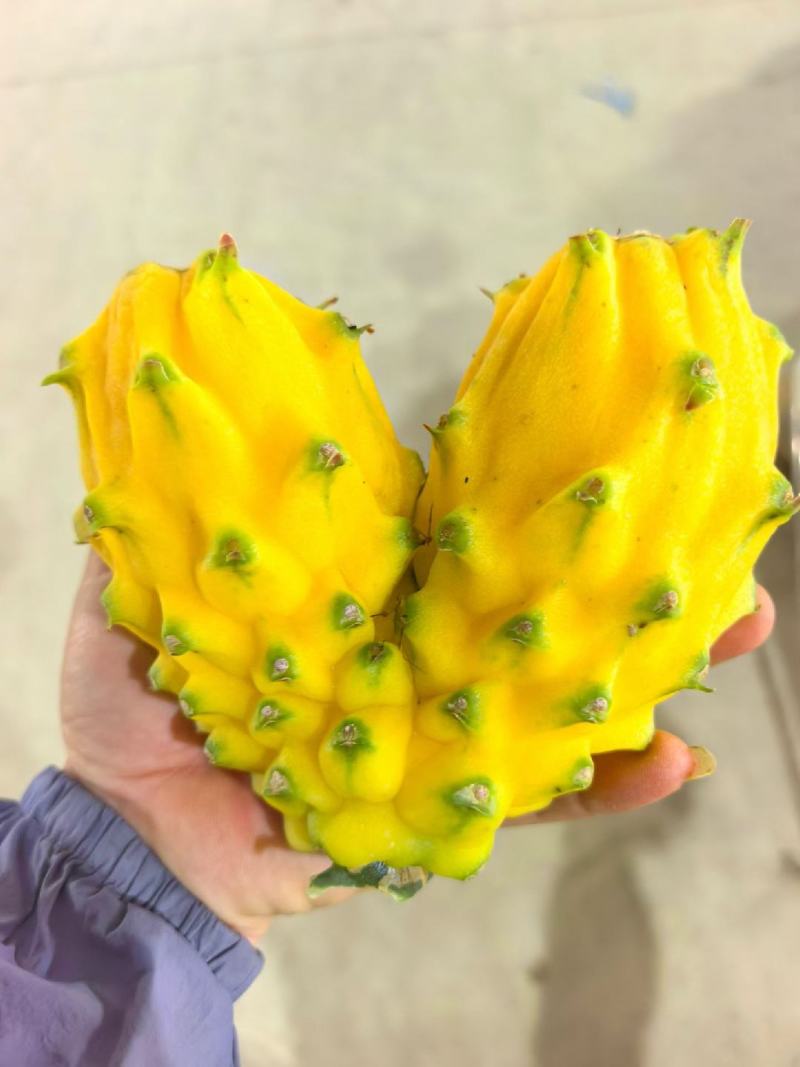 燕窝果，麒麟果