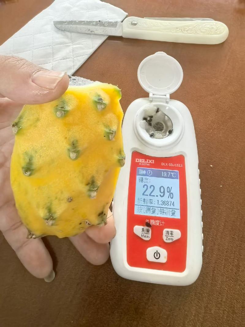 燕窝果，麒麟果