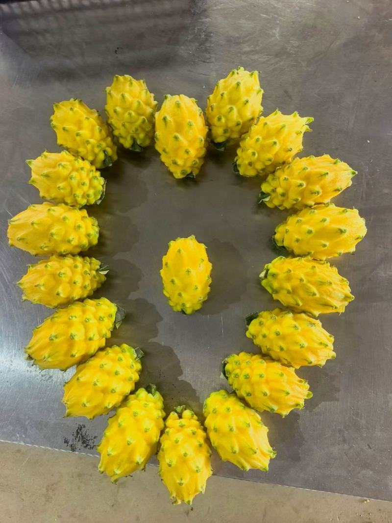 燕窝果，麒麟果