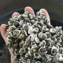 碧螺春生态茶