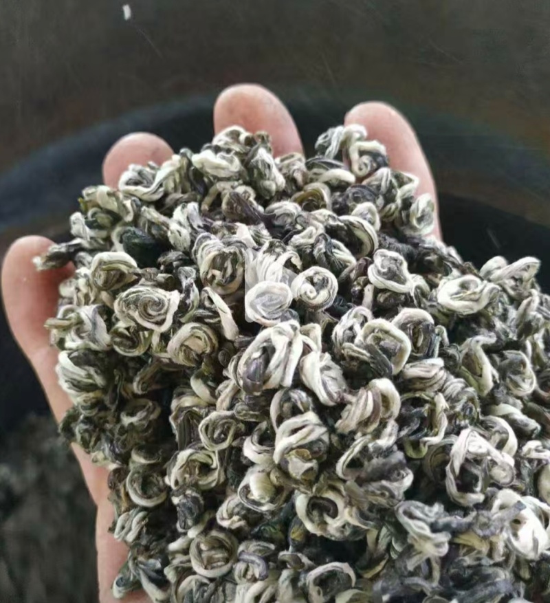 碧螺春生态茶