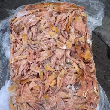 去腺胃头食带