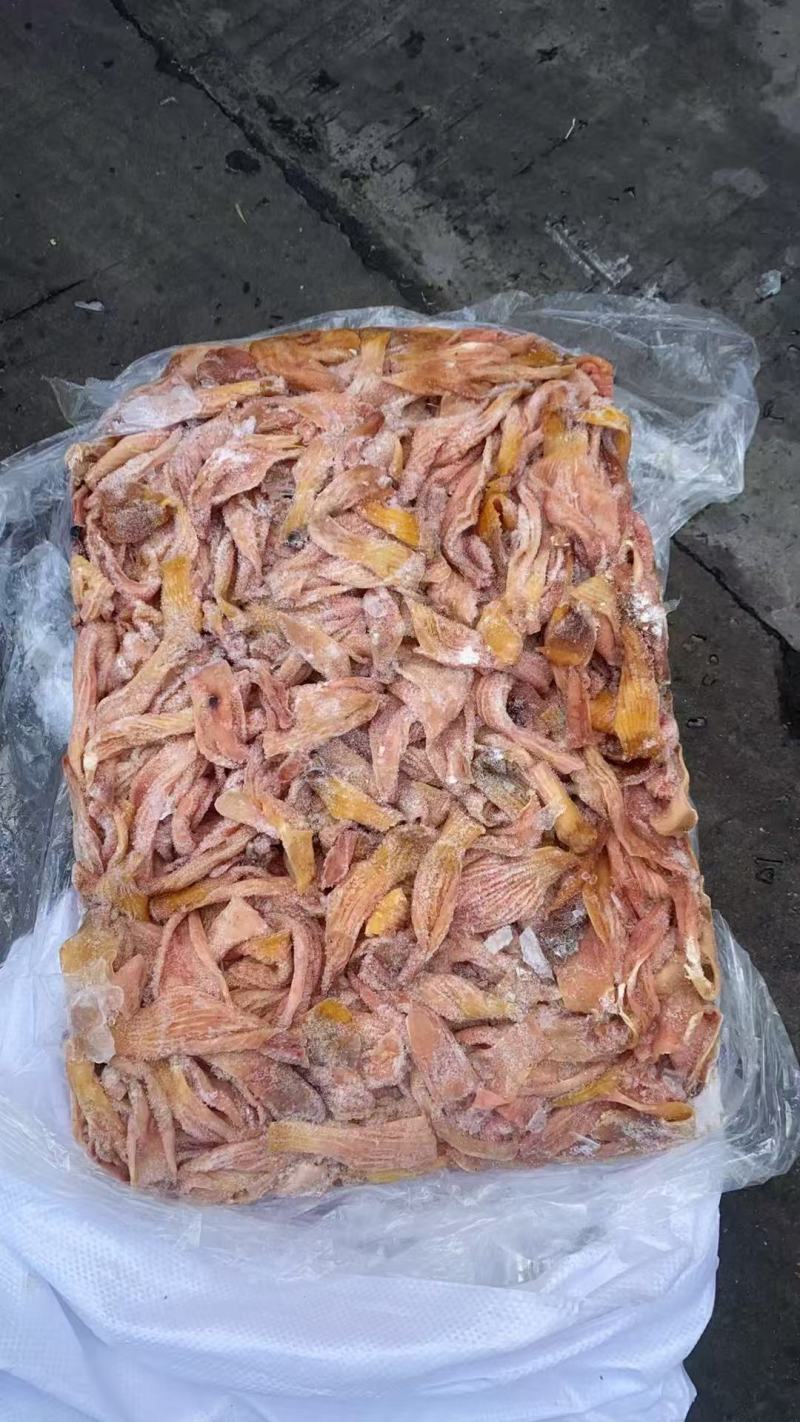 去腺胃头食带