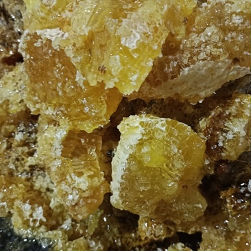 土蜂蜜