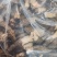 丽水遂昌头茬羊肚菌干（浙江省第一家有机认证羊肚菌干）焦片