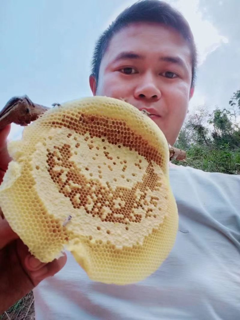 野生大排蜂蜜