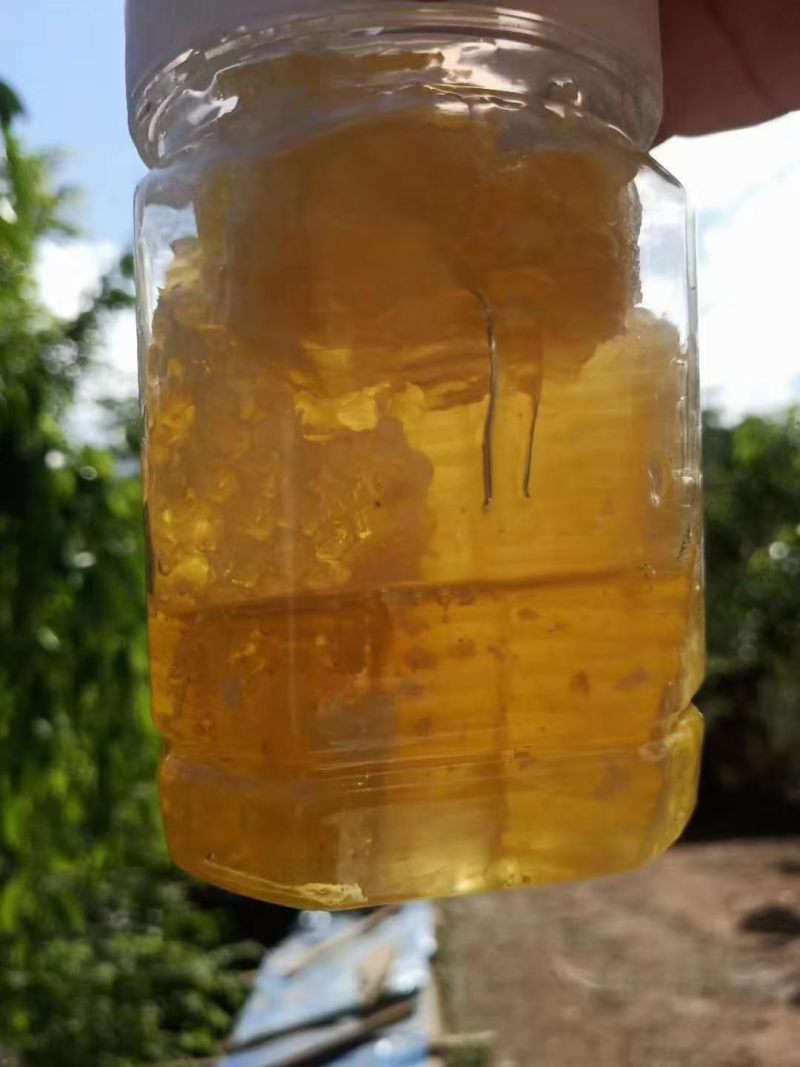 野生大排蜂蜜