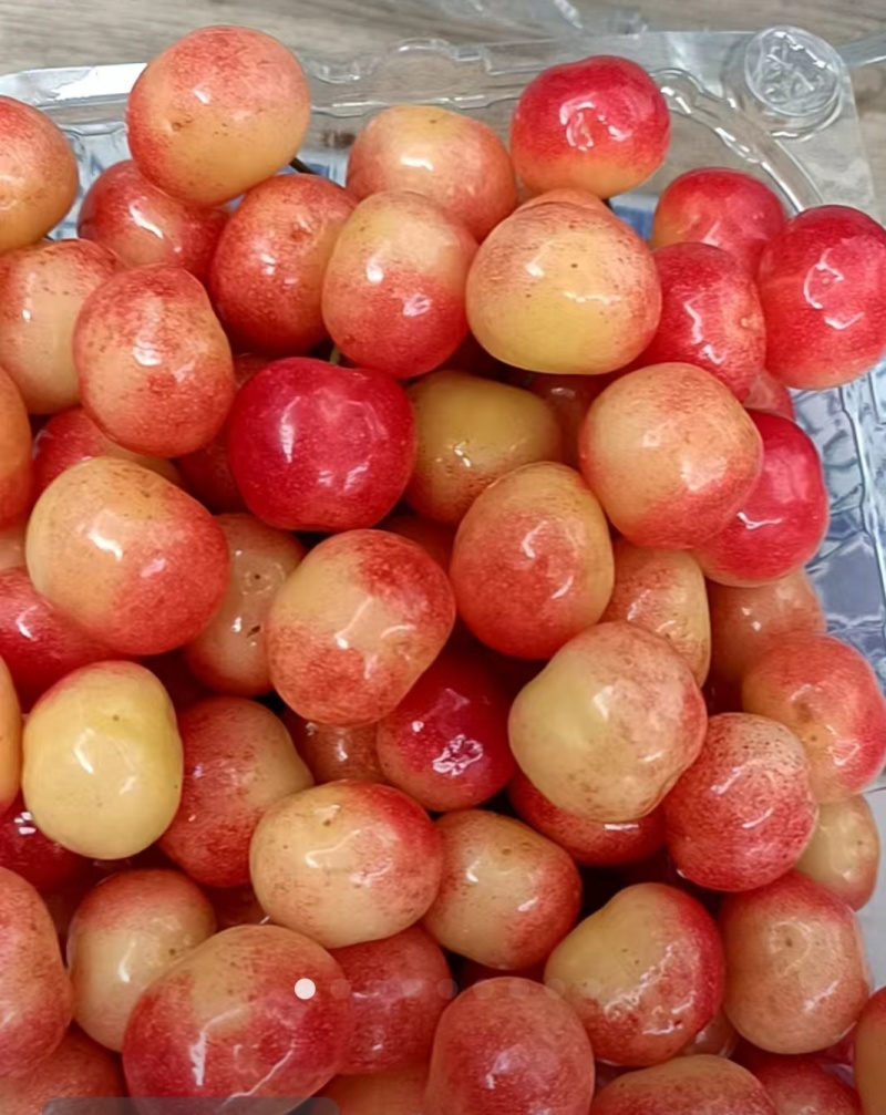 樱桃🍒