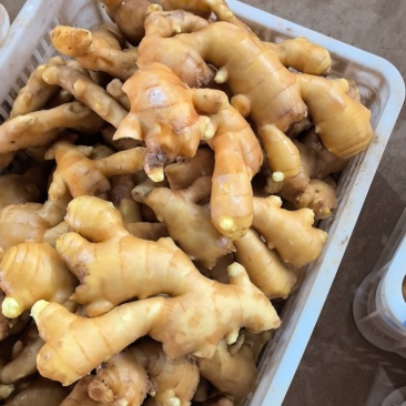 生姜供应，泥姜洗姜风干姜，