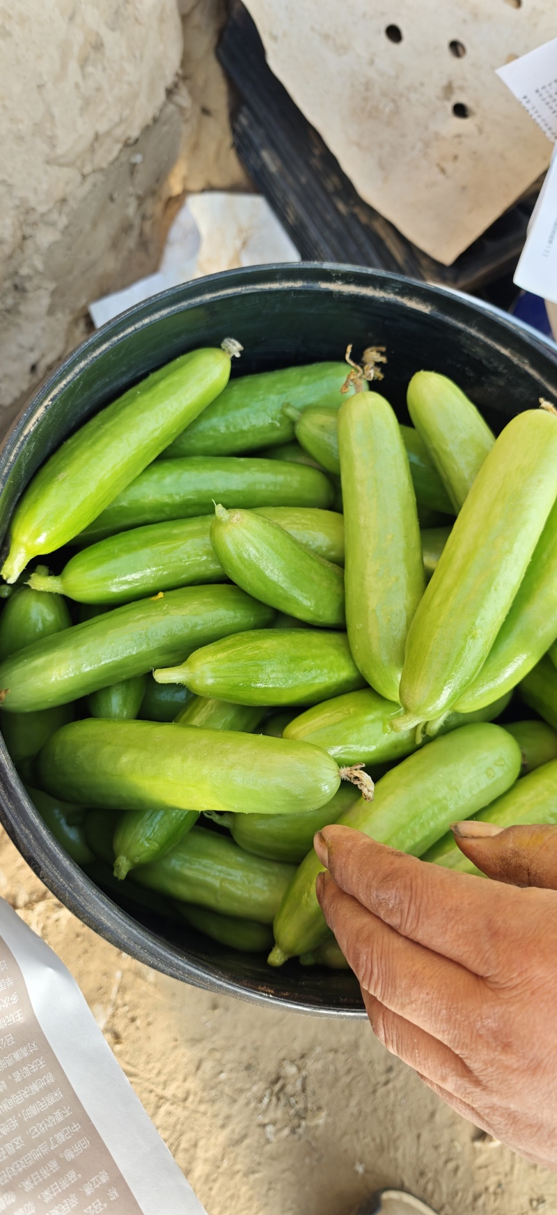 奶油黄瓜