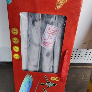 精品带鱼大礼盒，质量好，价格优