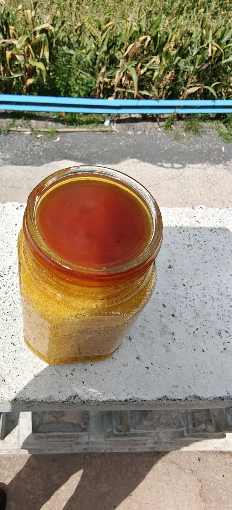 贵州野山花纯蜂蜜，假一赔十