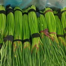 河南红帽蒜薹大量上市支持全国发货