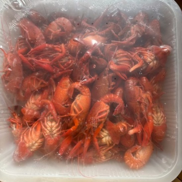 液氮清水小龙虾4-6钱一件10公斤