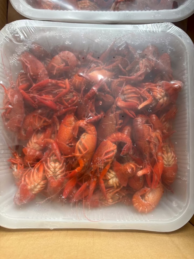 液氮清水小龙虾4-6钱一件10公斤