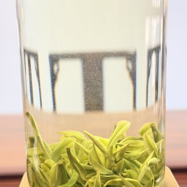 安吉白茶