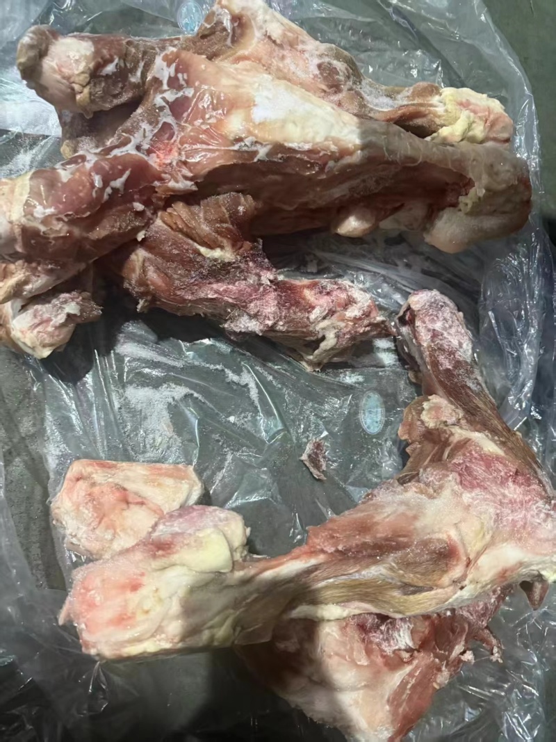 猪后腿骨