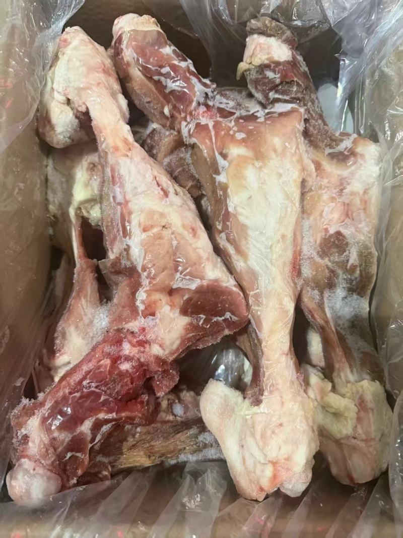 猪后腿骨