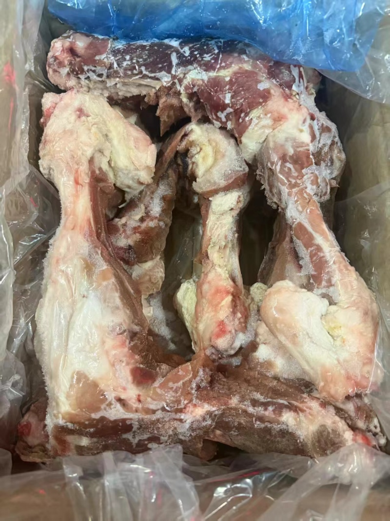 猪后腿骨