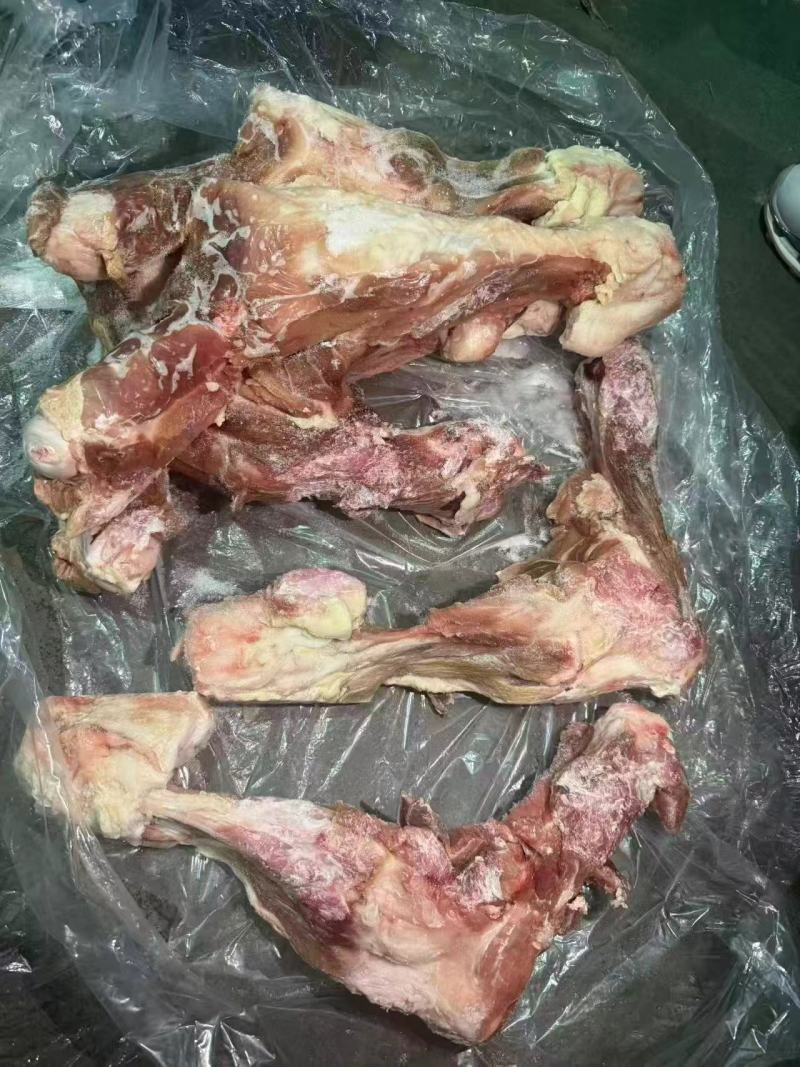 猪后腿骨
