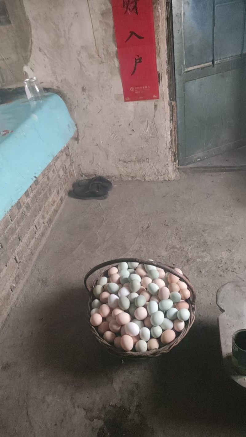 乌鸡蛋