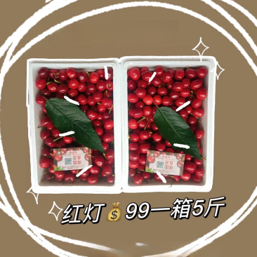 大连瓦房店樱桃园直发