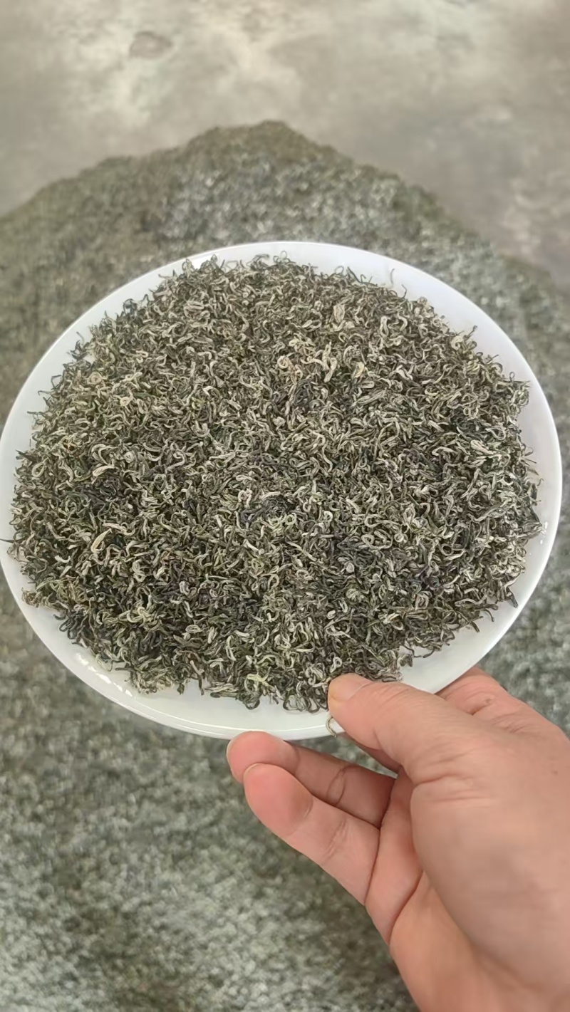 广西长寿之乡昭平绿茶