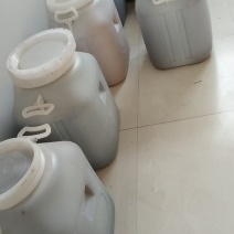 自家养的百花蜜