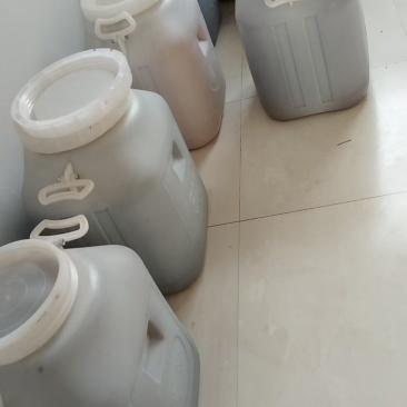 自家养的百花蜜