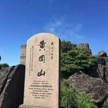 武夷山保护区高山野生百花蜜